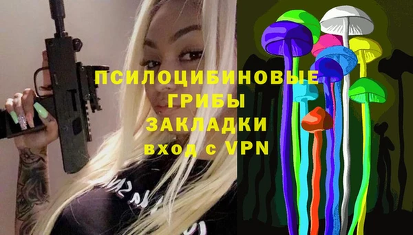 ГАЛЛЮЦИНОГЕННЫЕ ГРИБЫ Абинск