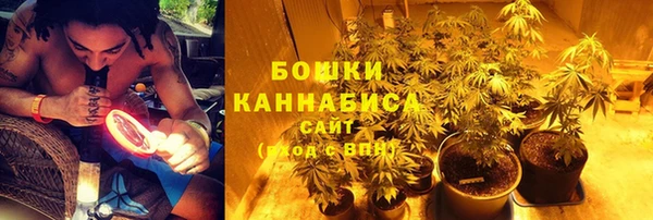ГАЛЛЮЦИНОГЕННЫЕ ГРИБЫ Абинск