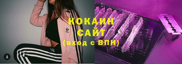 ГАЛЛЮЦИНОГЕННЫЕ ГРИБЫ Абинск